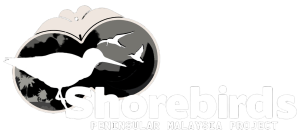 Logo Shorebird Peninsular Malaysia